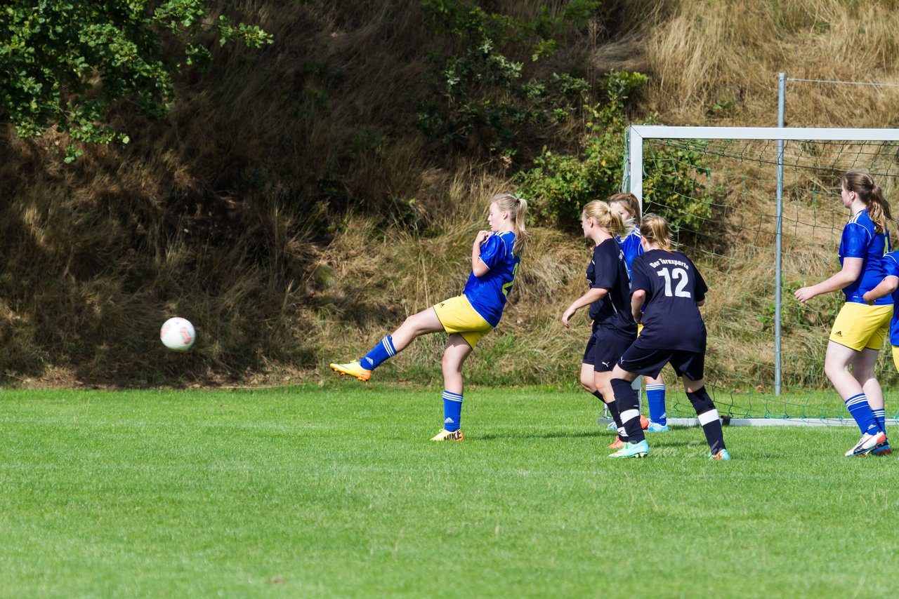 Bild 346 - Frauen TSV Gnutz - SG Slfeld/Oe/Se/Stu : Ergebnis: 2:3